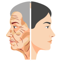 Anti Aging 